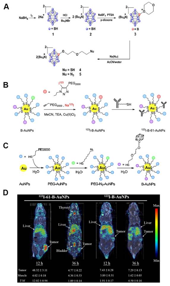 Theranostics Image