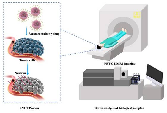 Theranostics Image