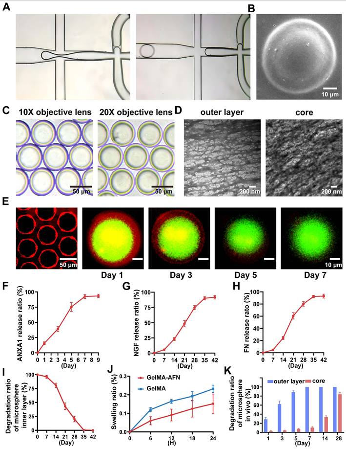 Theranostics Image