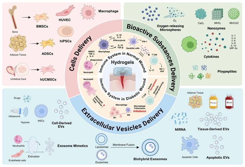 Theranostics Image