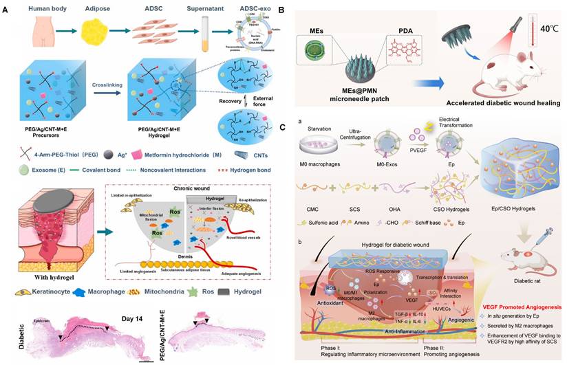 Theranostics Image