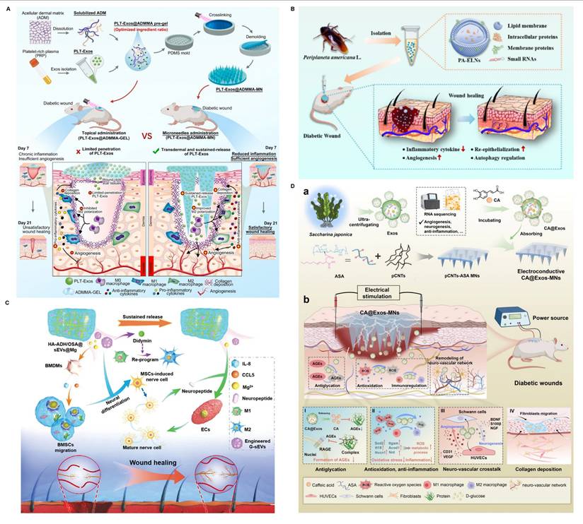 Theranostics Image
