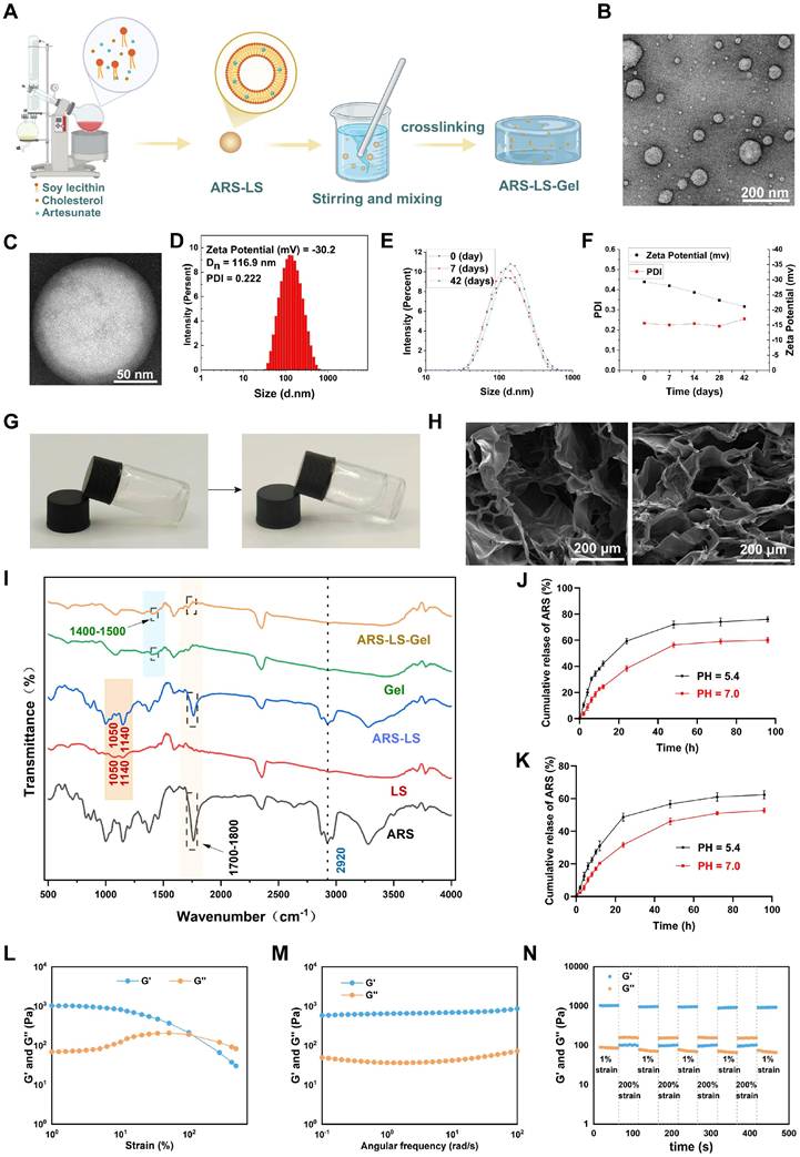 Theranostics Image