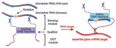 Theranostics Image