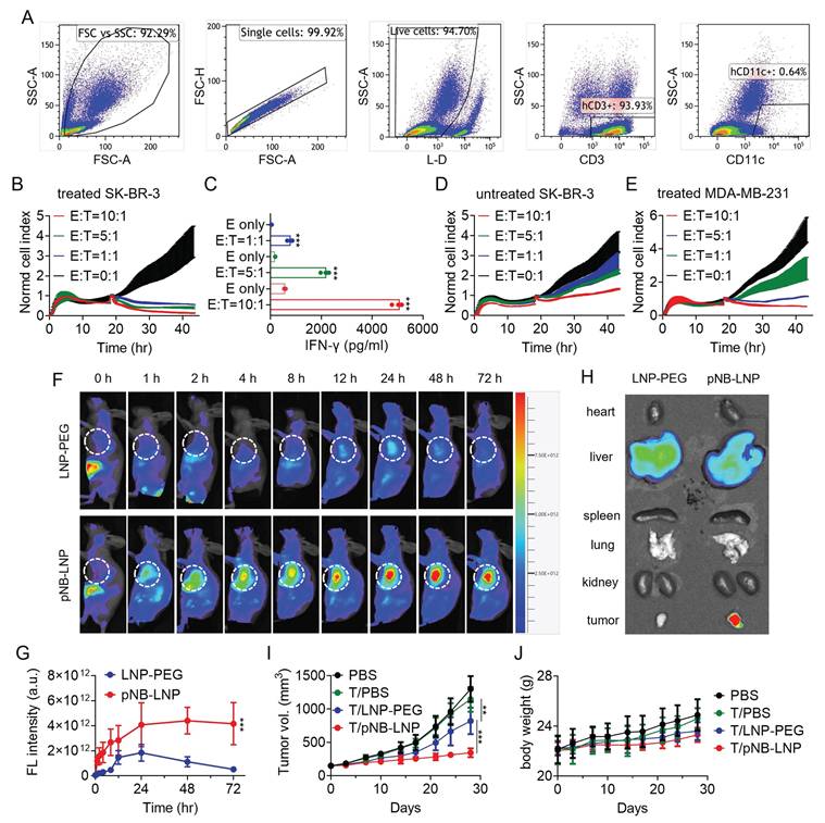 Theranostics Image