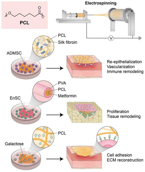 Theranostics Image