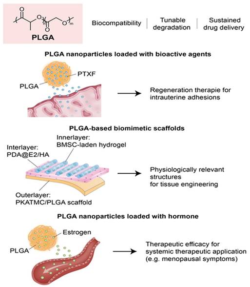 Theranostics Image
