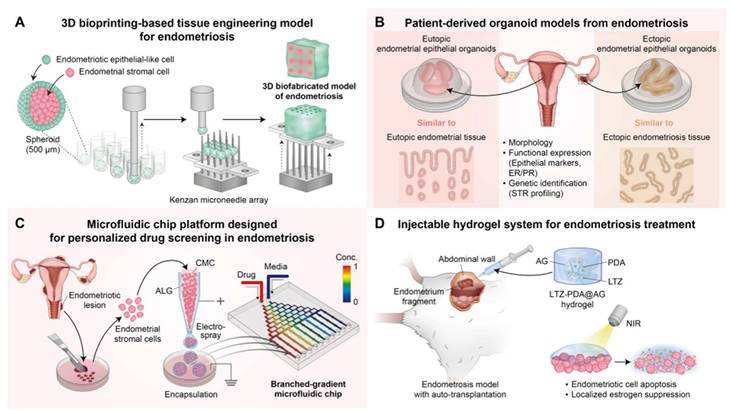 Theranostics Image