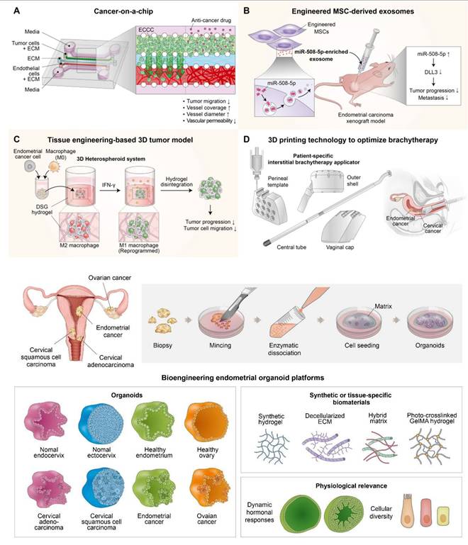 Theranostics Image