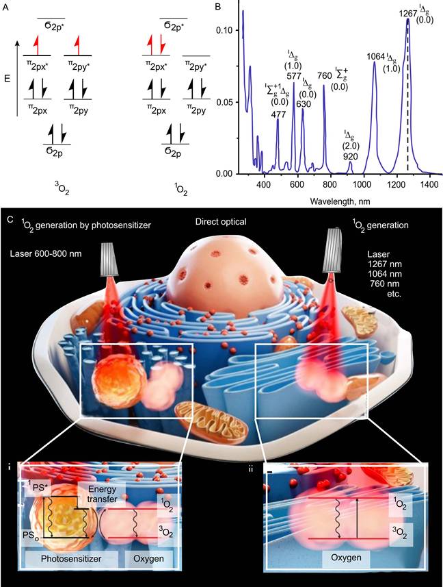 Theranostics Image
