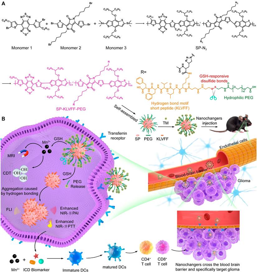 Theranostics Image
