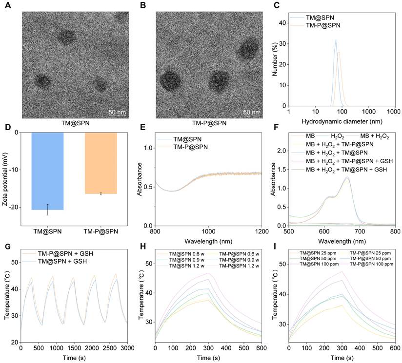 Theranostics Image
