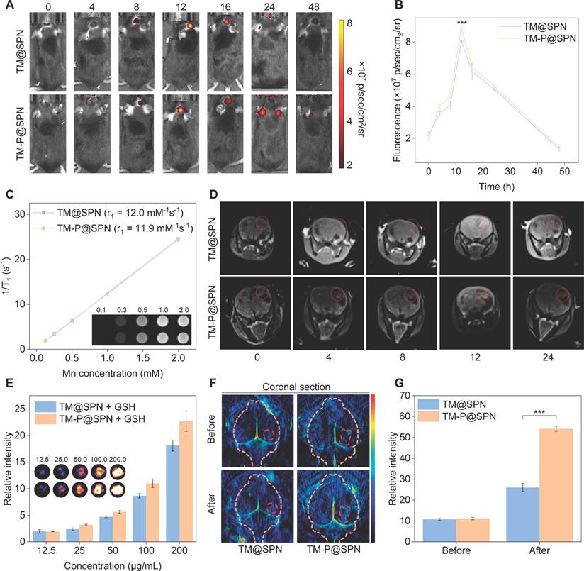 Theranostics Image