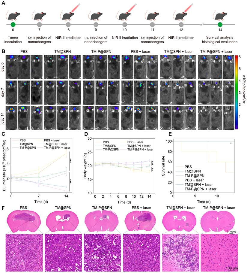Theranostics Image