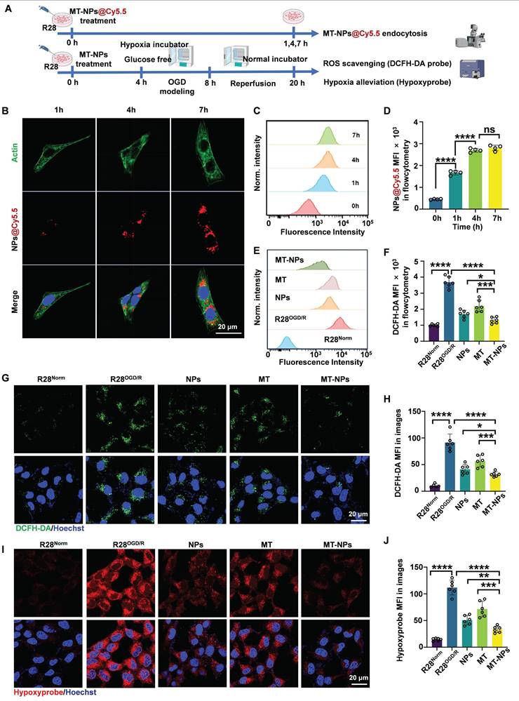 Theranostics Image