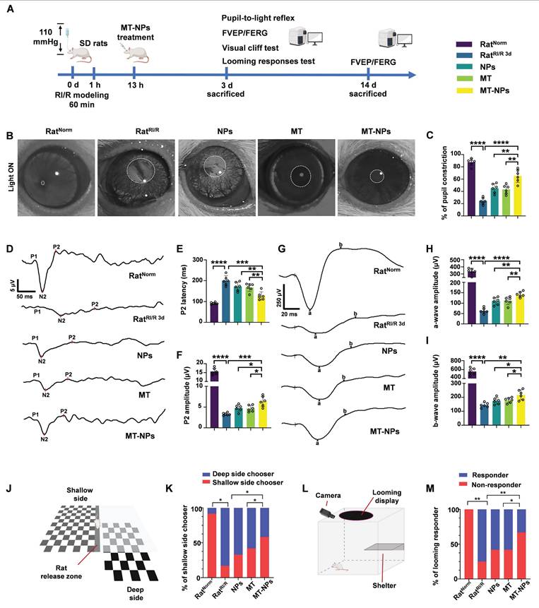 Theranostics Image