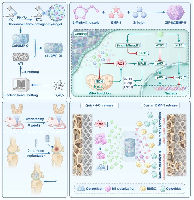 Theranostics Image