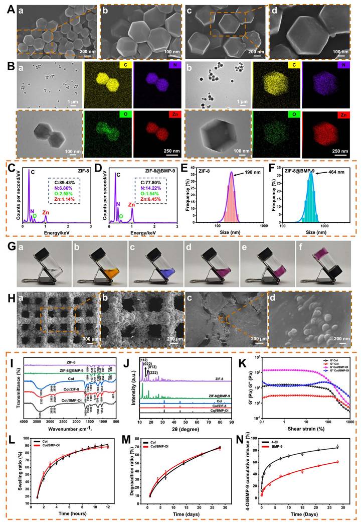 Theranostics Image