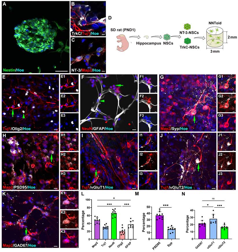 Theranostics Image