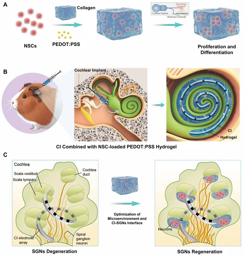 Theranostics Image