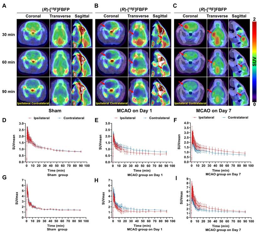 Theranostics Image