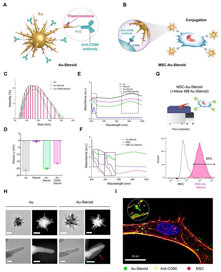 Theranostics Image