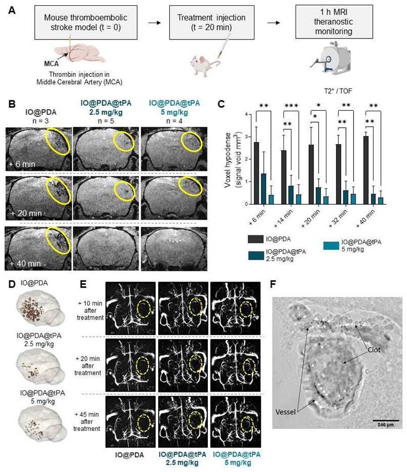 Theranostics Image