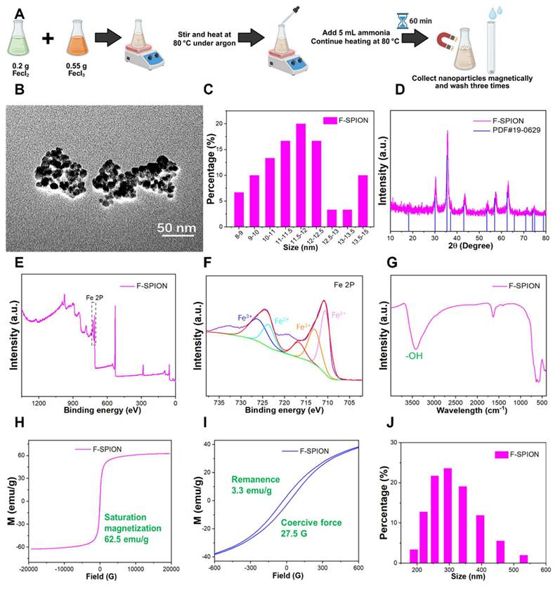 Theranostics Image