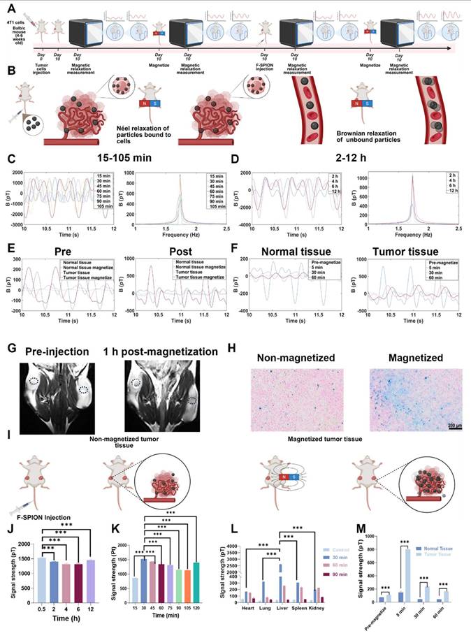 Theranostics Image