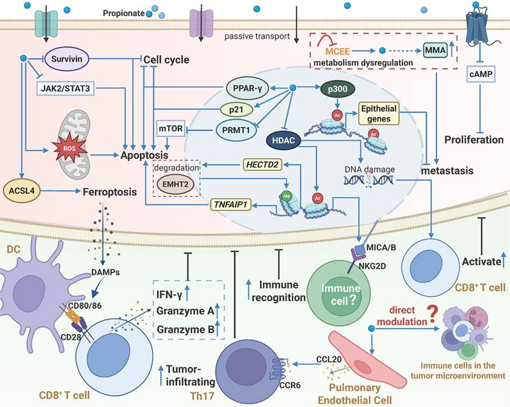 Theranostics Image