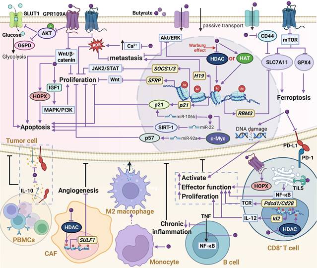 Theranostics Image