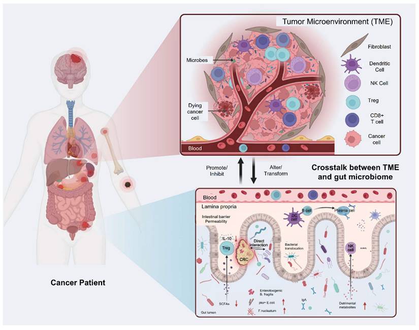 Theranostics Image