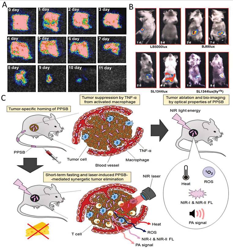Theranostics Image