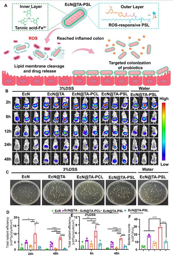 Theranostics Image