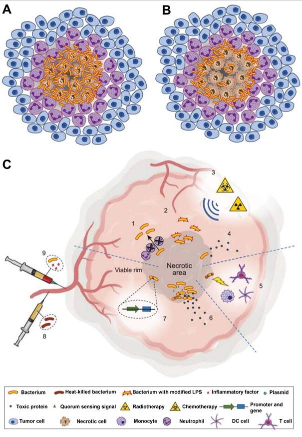 Theranostics Image