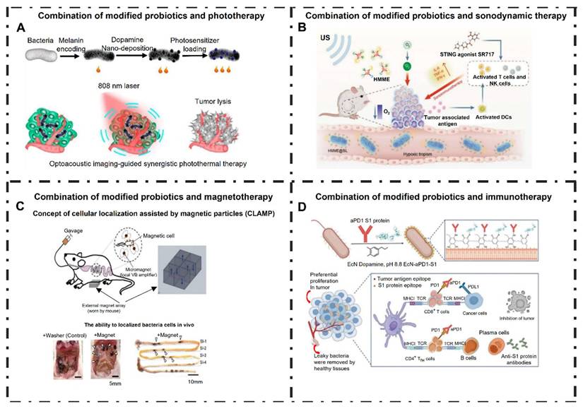 Theranostics Image