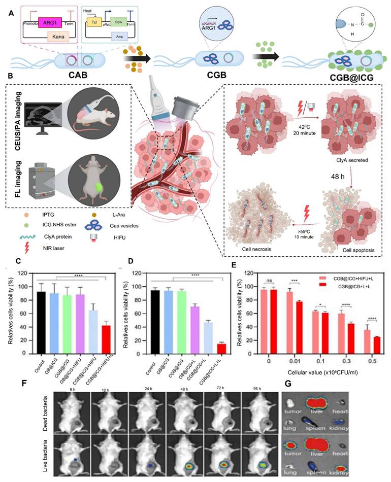 Theranostics Image