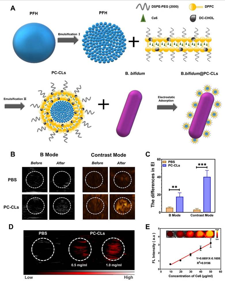 Theranostics Image