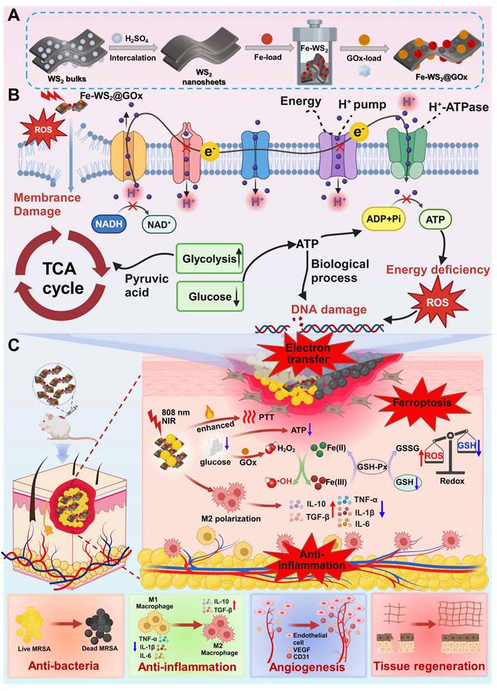 Theranostics Image