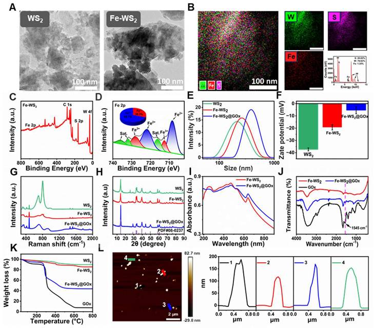 Theranostics Image