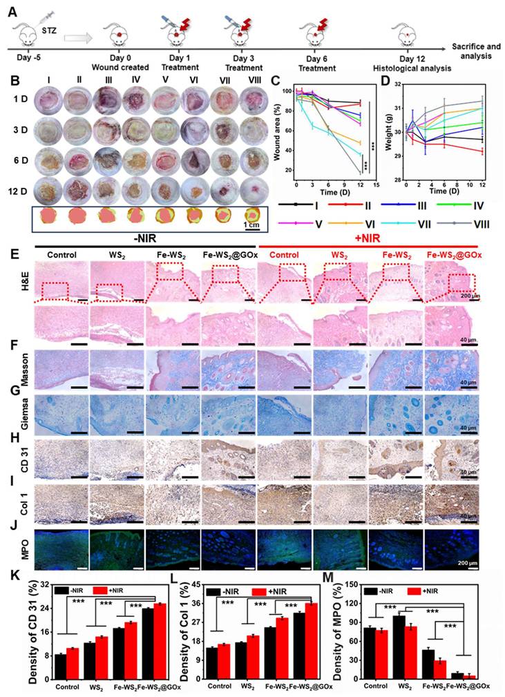 Theranostics Image