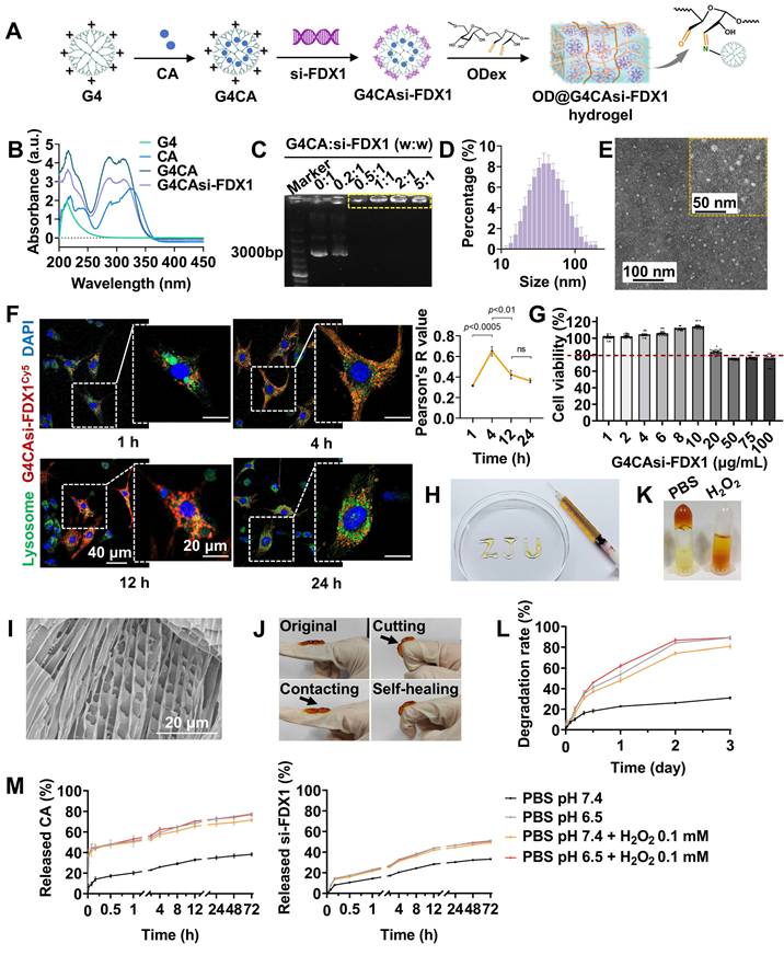 Theranostics Image