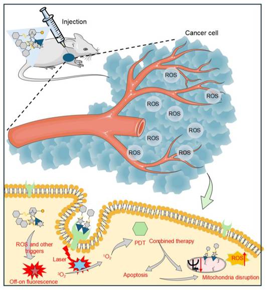 Theranostics Image