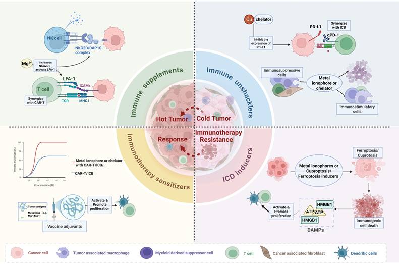 Theranostics Image