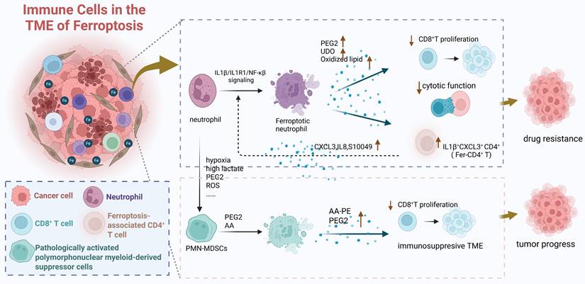 Theranostics Image
