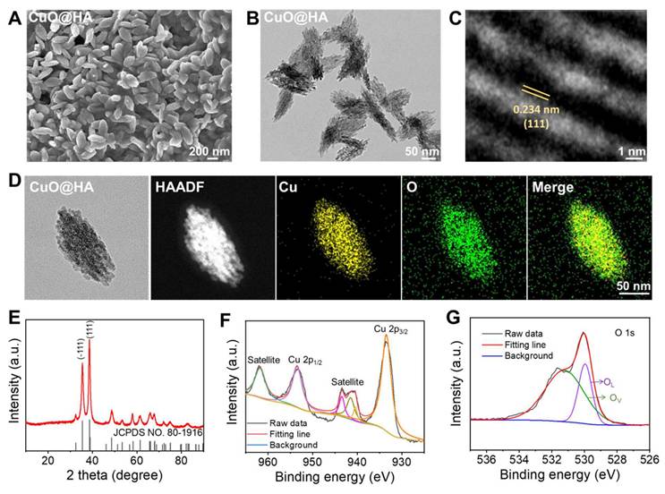 Theranostics Image