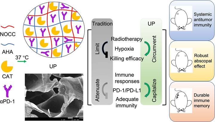 Theranostics Image
