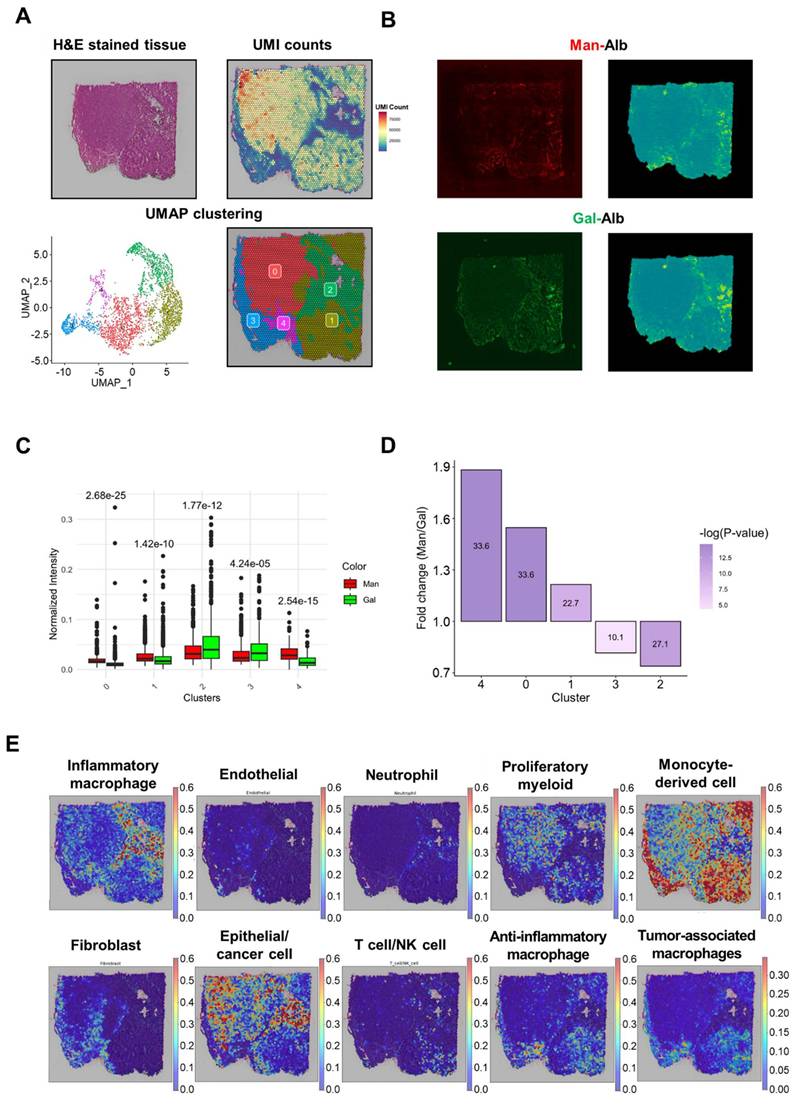 Theranostics Image