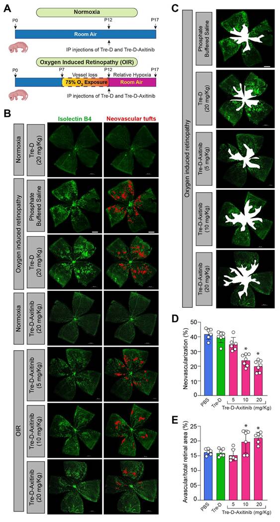 Theranostics Image