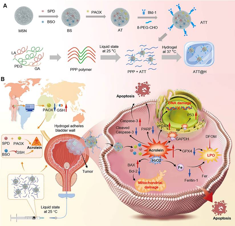 Theranostics Image